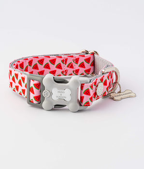 Fabric Dog Collar - Pink Watermelon