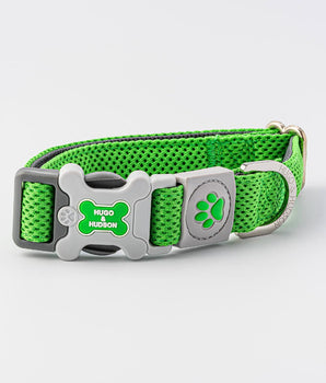 Mesh Dog Collar - Green