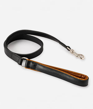 Padded Leather Dog Lead - Black and Brown
