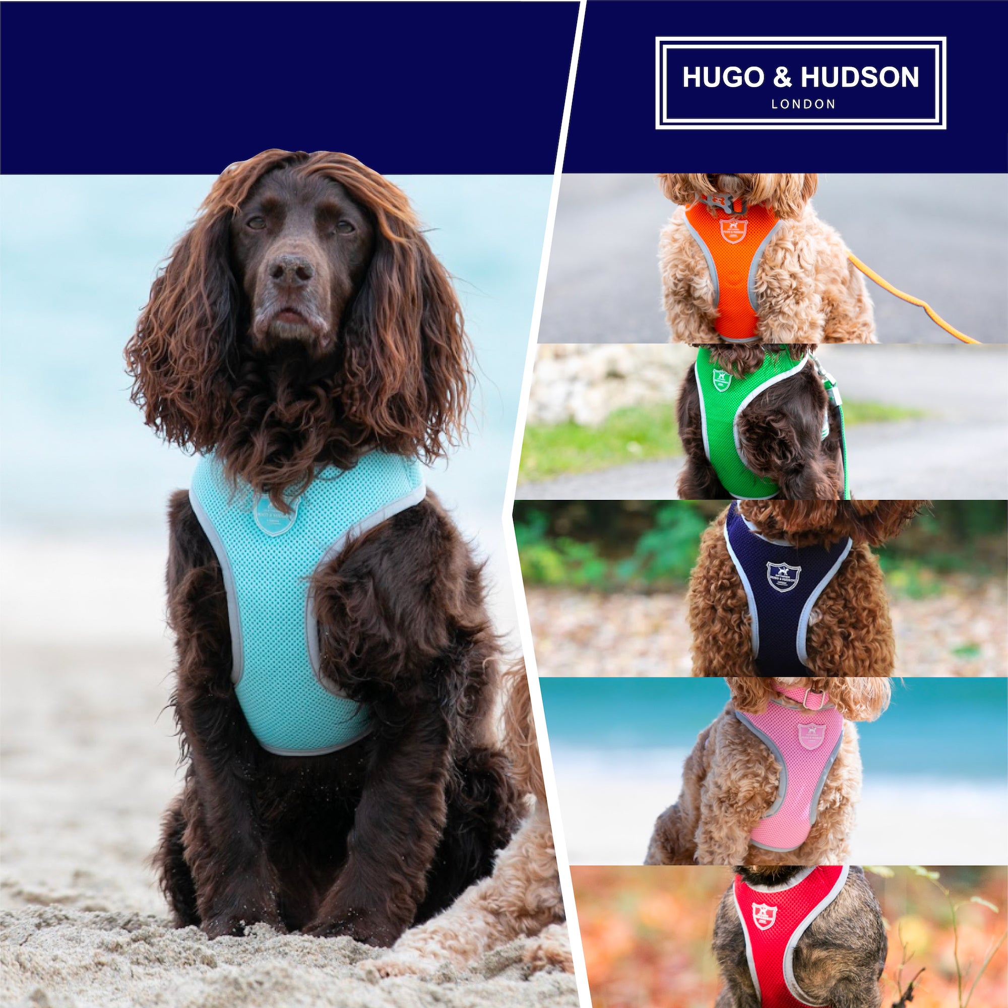 Mesh Dog Harness - Navy – Hugo & Hudson London