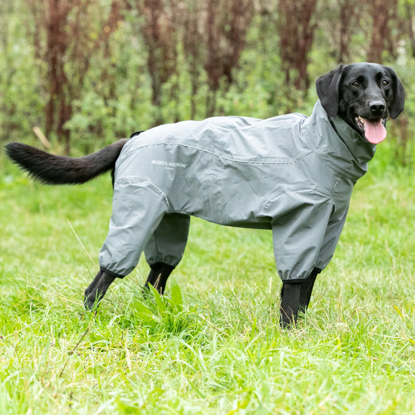 Dog sales overalls waterproof